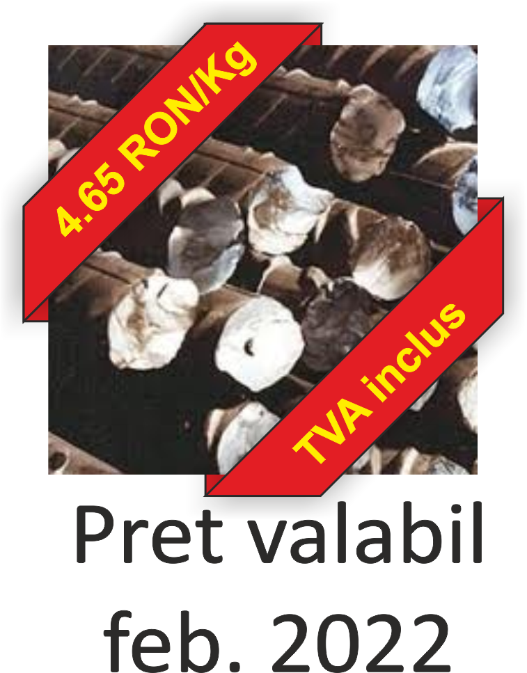 Preturi PC 52 fier romanesc